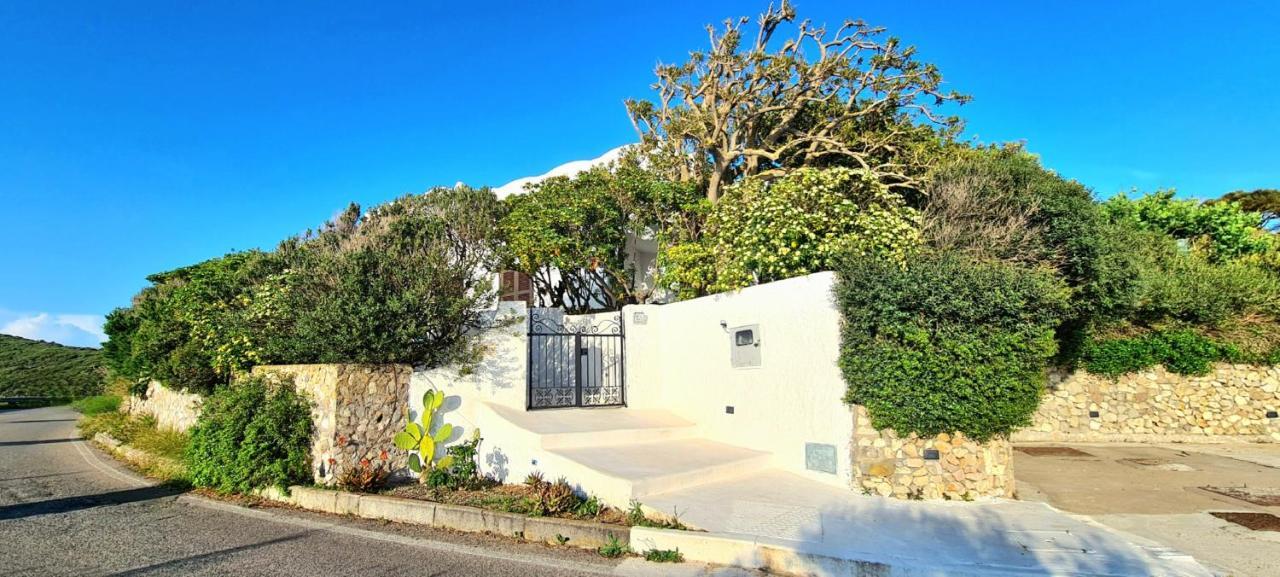 Guest House Villa Il Gabbiano Ponza Eksteriør billede