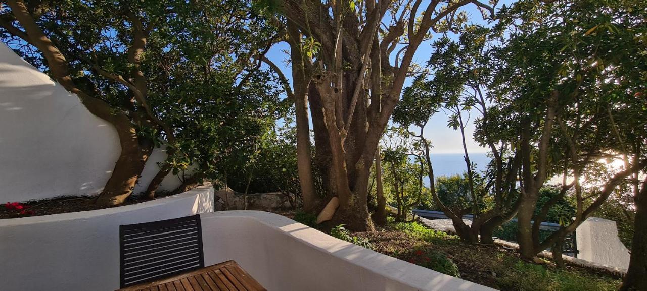 Guest House Villa Il Gabbiano Ponza Eksteriør billede
